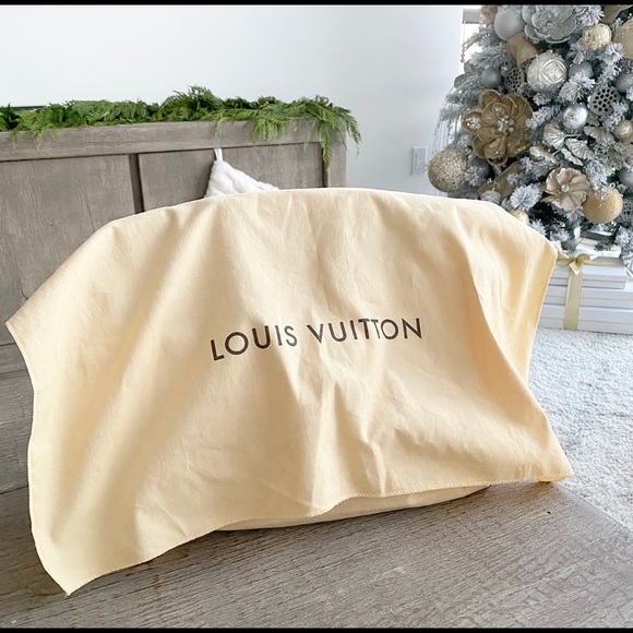Stunning Louis Viutton Vernis Brea bag in Poudre - Picture 3 of 14